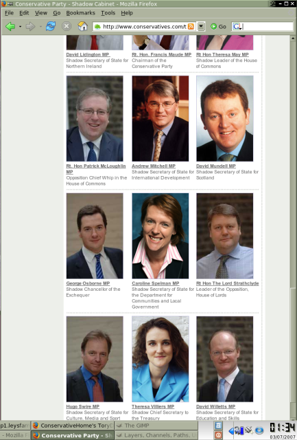 Tory party website screenshot
